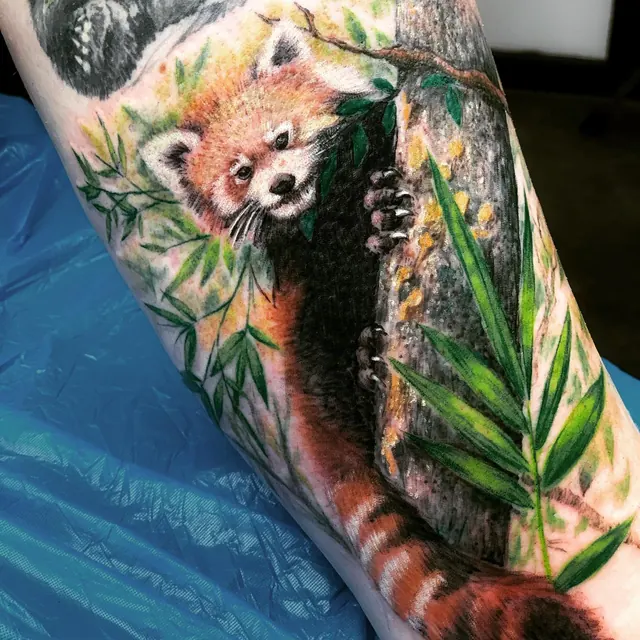 Color and sketchy custom tattoo by Xelo